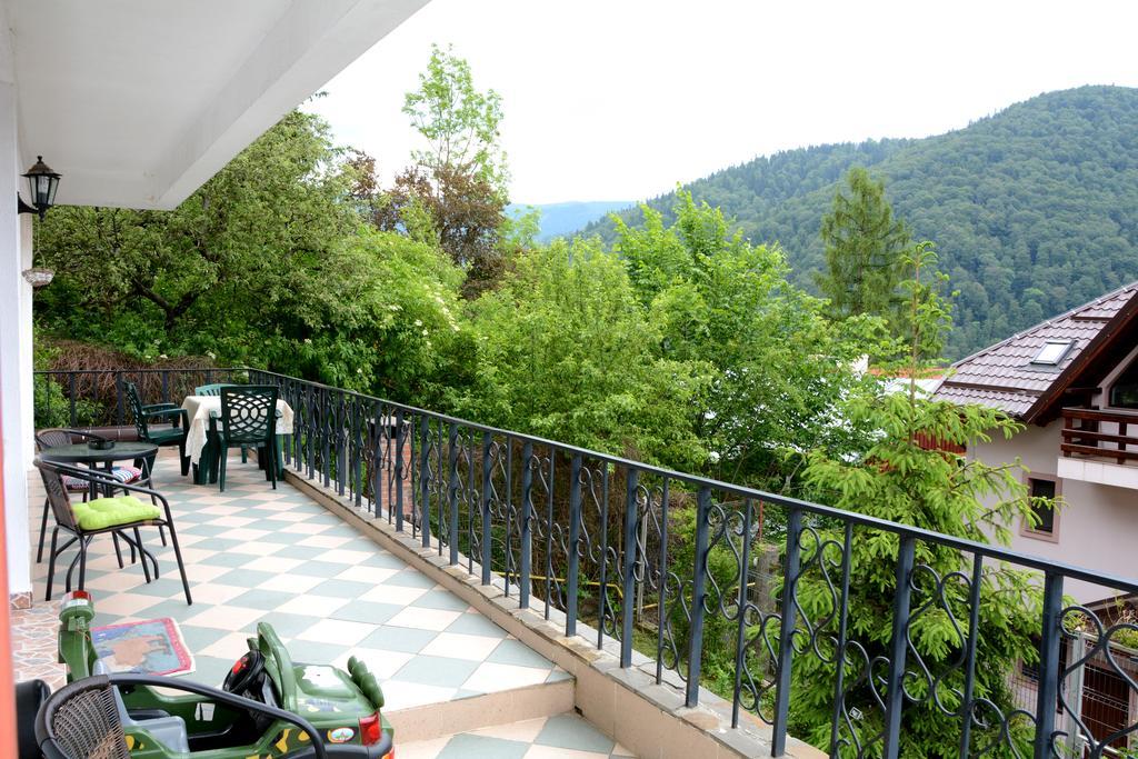 Casa Ana Villa Sinaia Ngoại thất bức ảnh