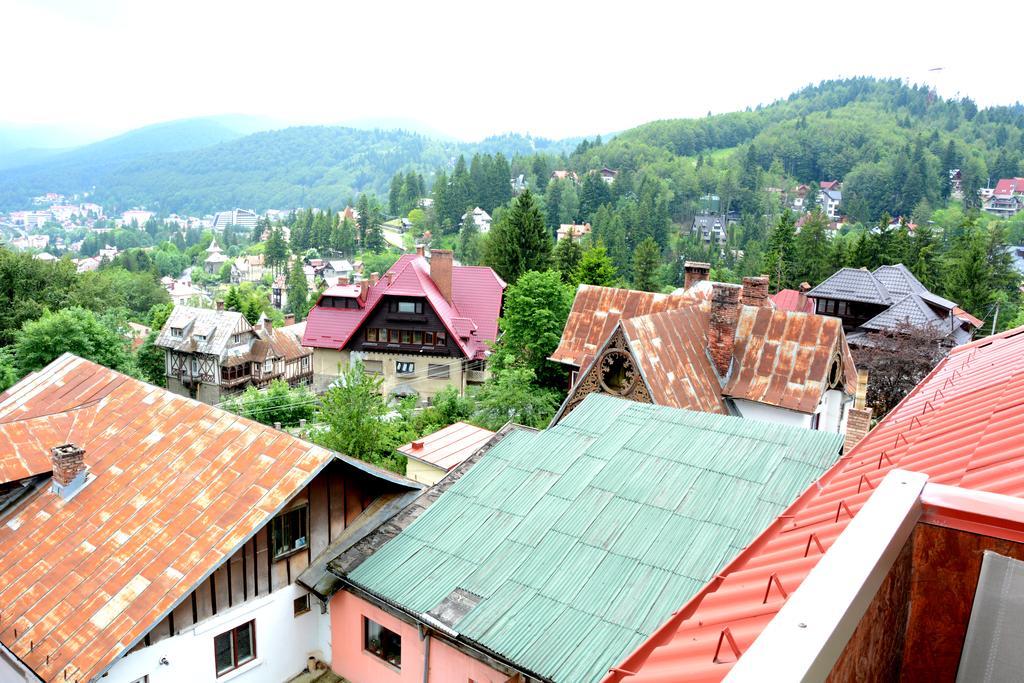 Casa Ana Villa Sinaia Ngoại thất bức ảnh